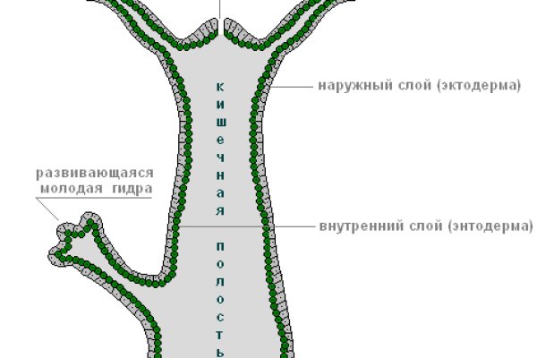 Кракен сайт наркотиков