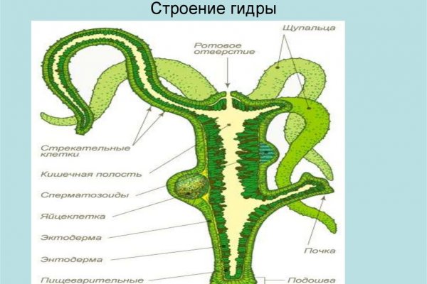 Кракен шоп интернет нарко