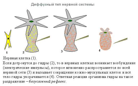 Как открыть кракен